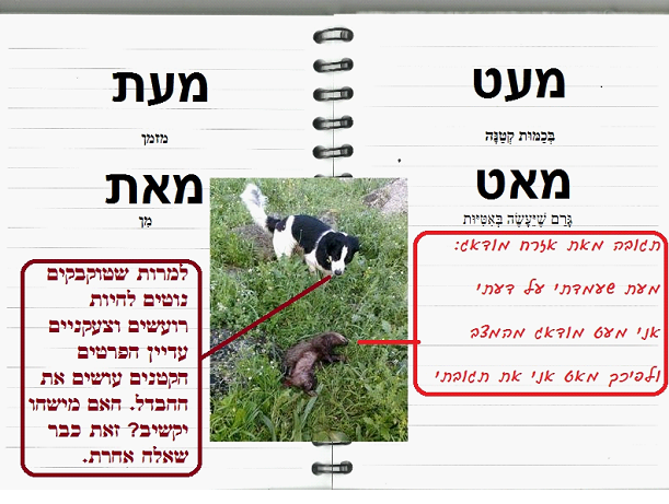 Read more about the article מדריך קצר בעברית לטוקבקיסט הממוצע: חלק א'
